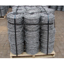 Galvanized barbed wire for protection